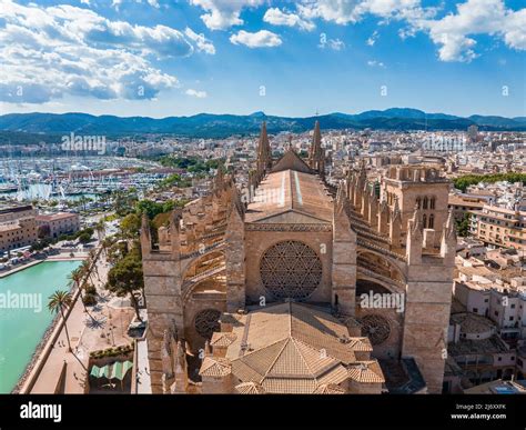 Nhà thờ Catedral de Palma de Mallorca: Kiến trúc Gothic tráng lệ và lịch sử tôn giáo phong phú!